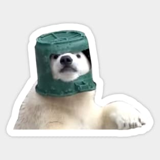 Adorable Polar Bear Cub in helmet Sticker